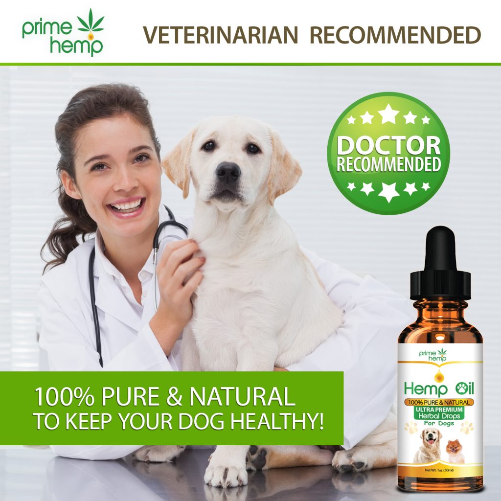 Amazon Pet Supplement Product Listing Image Picture Designer of Graphics and Infographics Hemp Oil